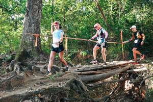 BIB: 
                            <button type="button" onclick="openModal(27551728)" class="btn btn-primary btn-sm float-right btn-popup" data-toggle="modal" data-target=".modal-high-quality">
                        <i class="fas fa-shopping-cart"></i> Add to Cart
                    </button>
                                            <button type="button" onclick="isThisMe(27551728, true)" class="btn btn-success btn-sm float-right btn-popup btn-isme hidden" data-toggle="tooltip" data-placement="bottom" title="นี่คือรูปของคุณใช่ไหม คลิกที่นี่เพื่อเอาเข้าอัลบั้ม">
                        <i class="fas fa-plus"></i> Add to album
                    </button>
                    <button type="button" onclick="isThisMe(27551728, false)" class="btn btn-warning btn-sm float-right btn-popup btn-isnotme hidden">
                        <i class="fas fa-ban"></i> Remove from album
                    </button>